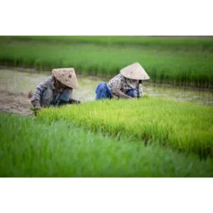 首頁 10 雲林農地二胎借款